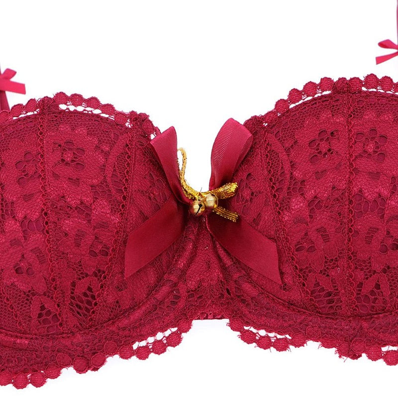 Lace Lingerie Bra Panties Garter Stocking 4pcs Set